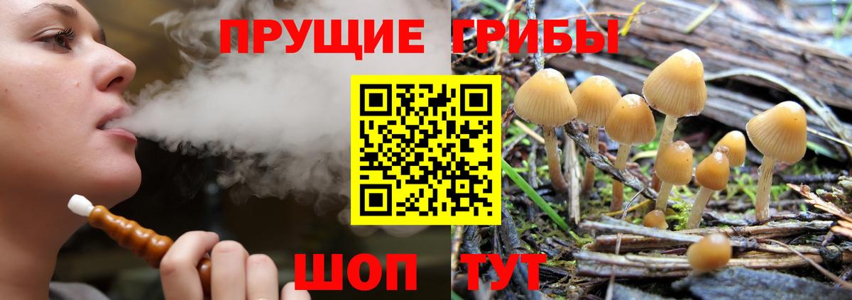 Галлюциногенные грибы мухоморы  Вход с VPN  Чебоксары 